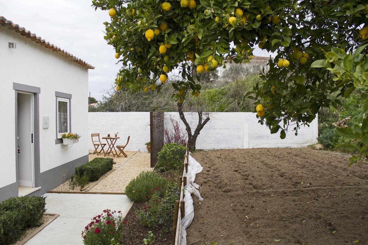 Casa do Avô Serra Leiria Exterior foto