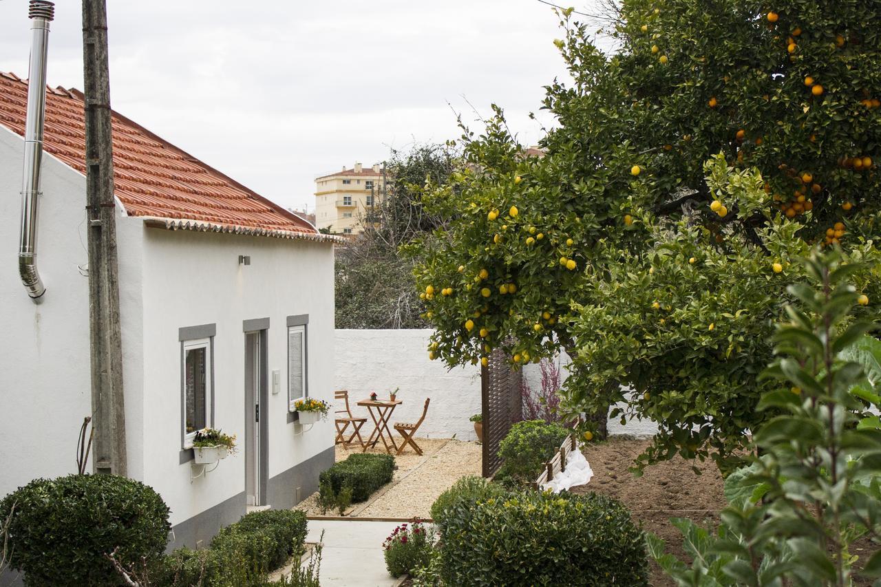 Casa do Avô Serra Leiria Exterior foto